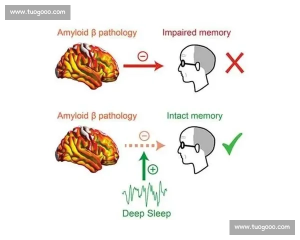 提升大脑反应速度的科学方法与日常训练技巧解析 提升大脑反应速度的科学方法与日常训练技巧解析