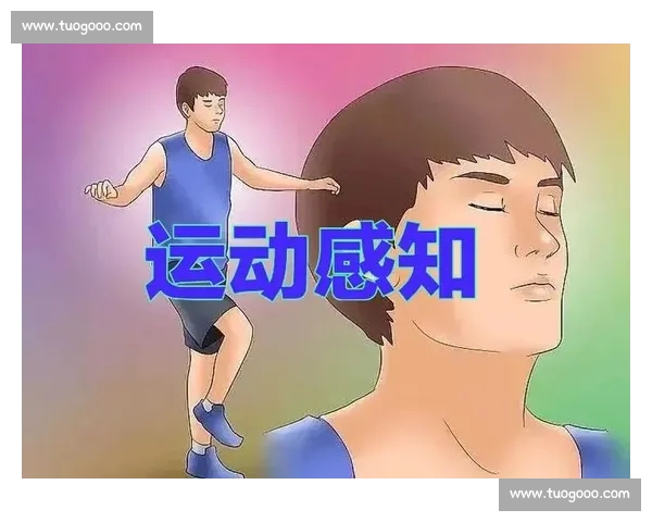运动表现优化中的心理因素作用机制与干预策略研究